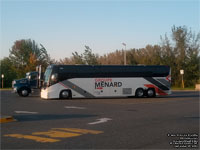 Menard 9331