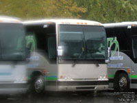 Transbus 329
